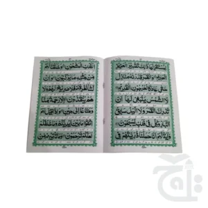 Surah Yaseen Translated 24 Pages 280-2K - Image 2