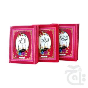 Para Set (Fateh Muhammad Jalandhri) Bold 206-30KC - Image 3